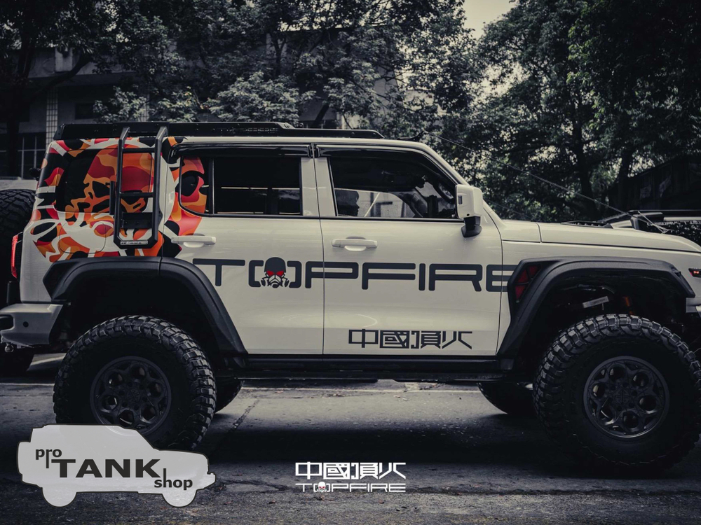 Боковая лестница TOPFIRE для TANK 300