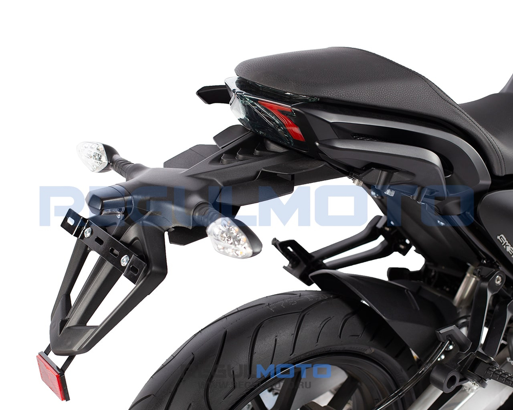 Мотоцикл Regulmoto ALIEN MONSTER 300