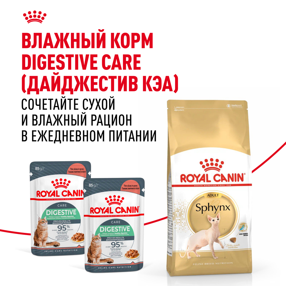 Сухой корм Royal Canin Sphynx Adult для кошек породы Сфинкс 10кг