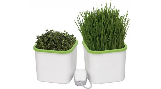 Гидропонная мини-система Здоровья Клад АэроСад (2-х модульная)