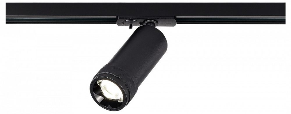 Светильник на штанге ST-Luce BASE ST385.446.20