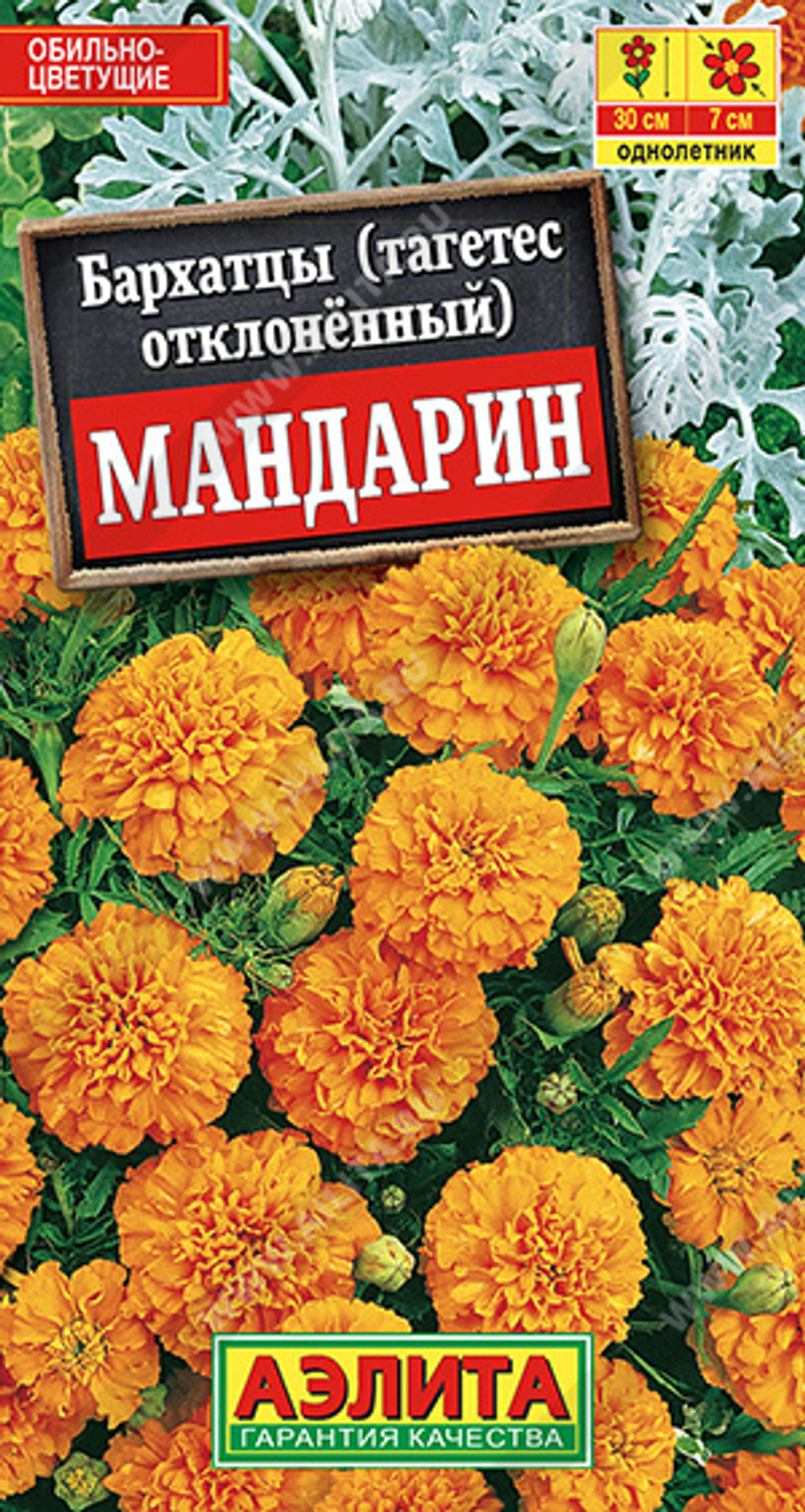 Бархатцы (тагетес отклоненный) Мандарин