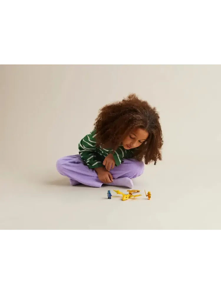 Конструктор NINJAGO 71803 Удар восходящего дракона Арина