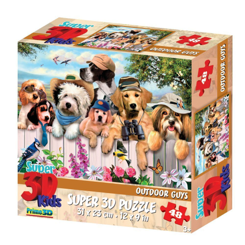 Пазл 3D "Дворовые парни" ("Outdoor Guys"), 48 деталей/H.Robinson