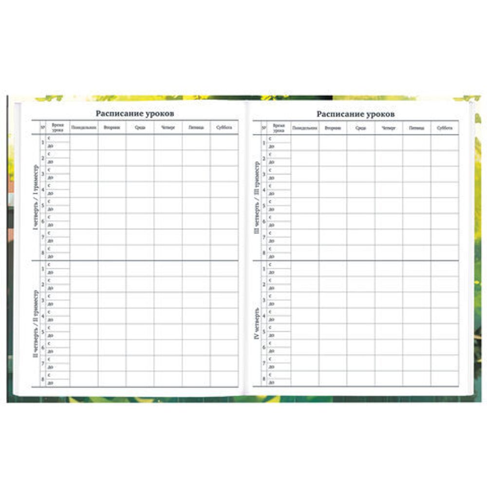 Дневник 1-11 класс 40 л., твердый, BRAUBERG, глянцевая ламинация, "Девочка и кот", 107166