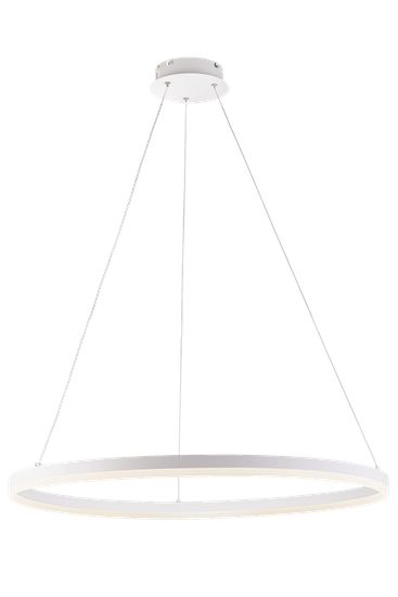 20214-8 SWT (1) Светильник (RL)