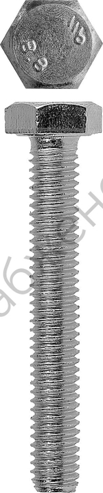 ЗУБР DIN 933 кл. пр. 5.8, M8 x 12 мм, болт оцинкованный, 8 шт (4-303076-08-012)