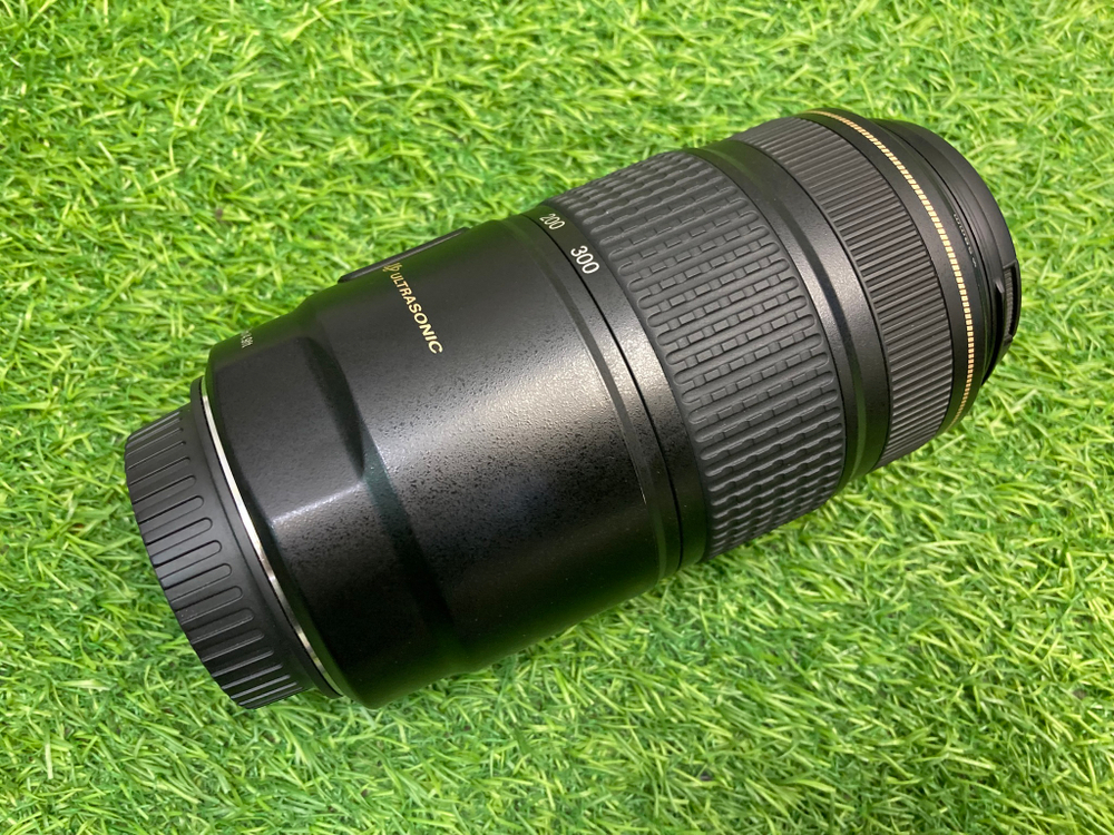 Canon EF 70-300mm 4.0-5.6 IS