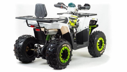 Квадроцикл MOTOLAND 200 Wild Track Lux ( Баланс. вал) (2021 Г.)