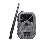 Фотоловушка Boly Guard BG636-48M