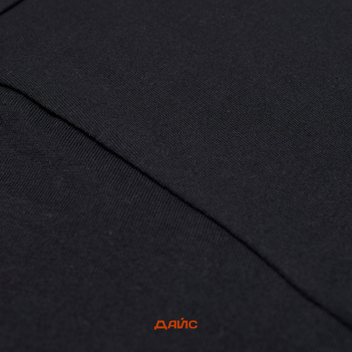 Футболка мужская Dickies Decartuville артикул:DK0A87QTBLK1 - купить в магазине Дайс