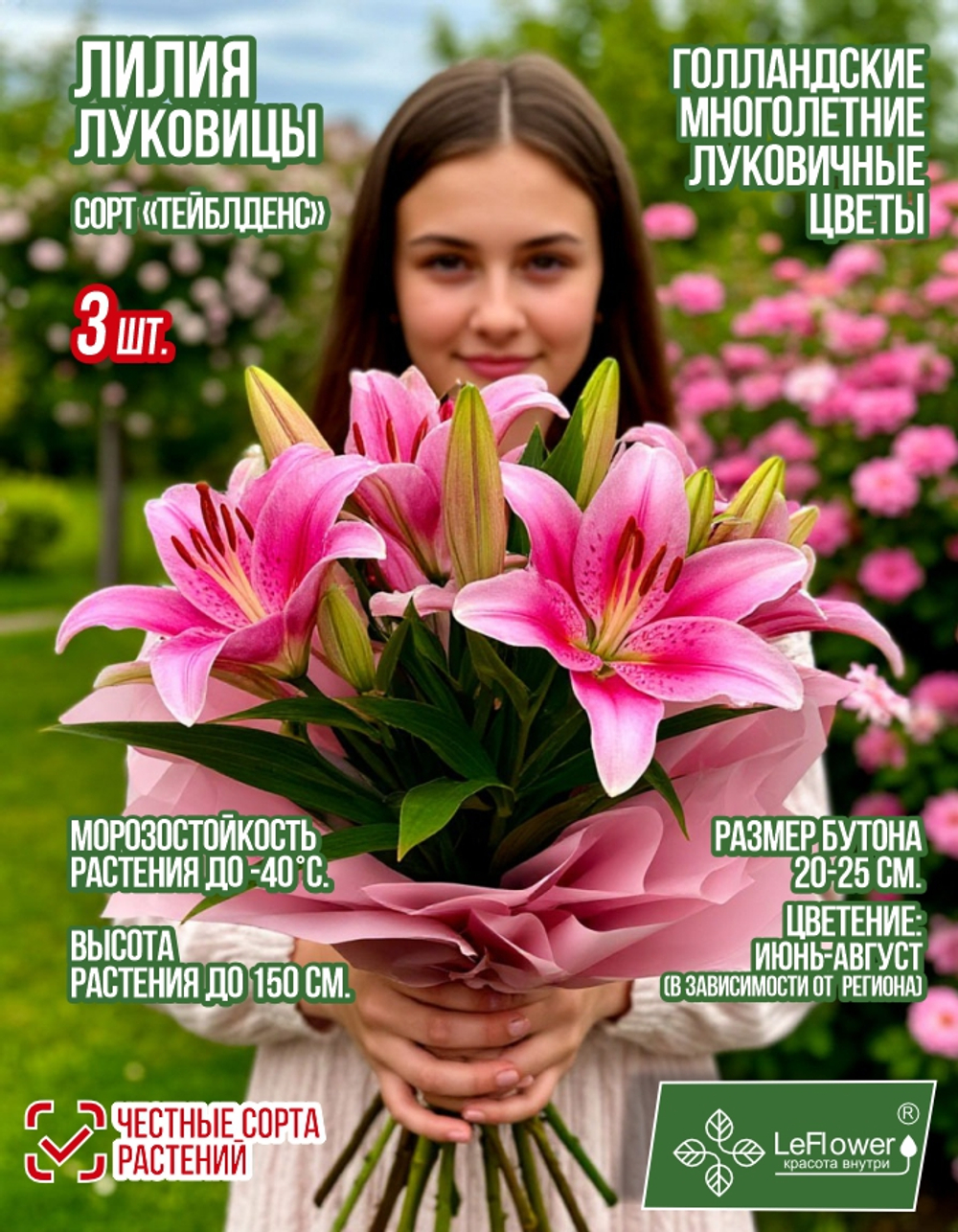 Лилия Луковица цветов, Тэйблденс, 3 шт