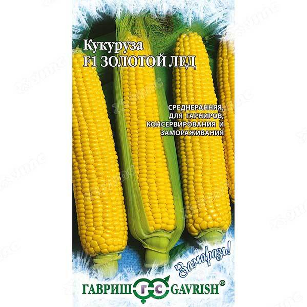Кукуруза Золотой лед