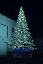 Светодинамическая елка ствольная - встроенная гирлянда: Теплый свет - "Таежная" от 11 до 21 м