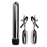 Набор из вибратора и вибростимуляторов для груди Baile BI-010046