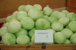 Капуста б/к Флексима F1 10шт ВитаГрин ЭКСТРА