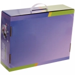 Коньки раздвижные, роликовые с ледовым блоком Sportage Flash R212 (pазмер 29-33)