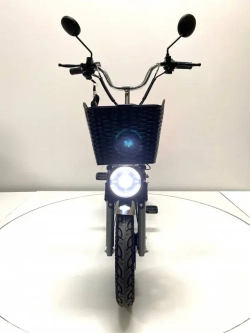 Электровелосипед Green Camel Транк Монстр PRO (R16FAT 500W 48V15Ah) гидравлика