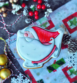 Дед Мороз №18 на коньках