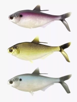 Мягкая приманка B.A.M.F. Shad 8"/ Gold Retriver (1шт./уп.)