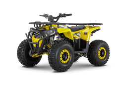 Квадроцикл WELS TRAIL 125
