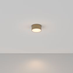 Потолочный светодиодный светильник Maytoni Zon C032CL-L12MG3K