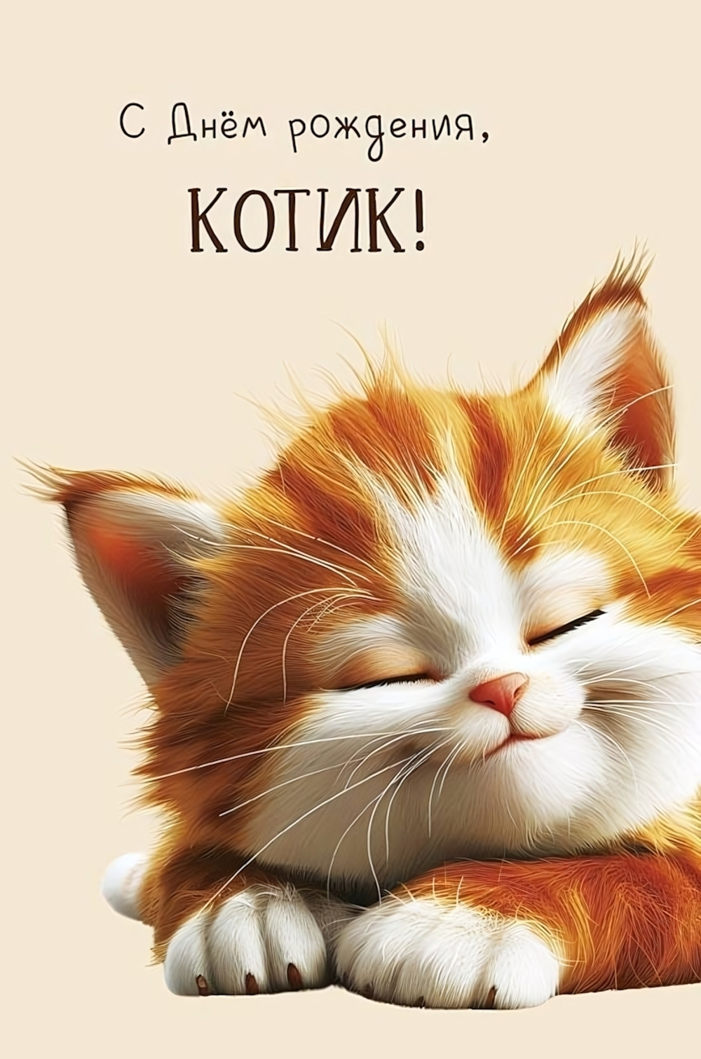 Открытка "С Днем рождения, котик!" 121х183 (АртДизайн)