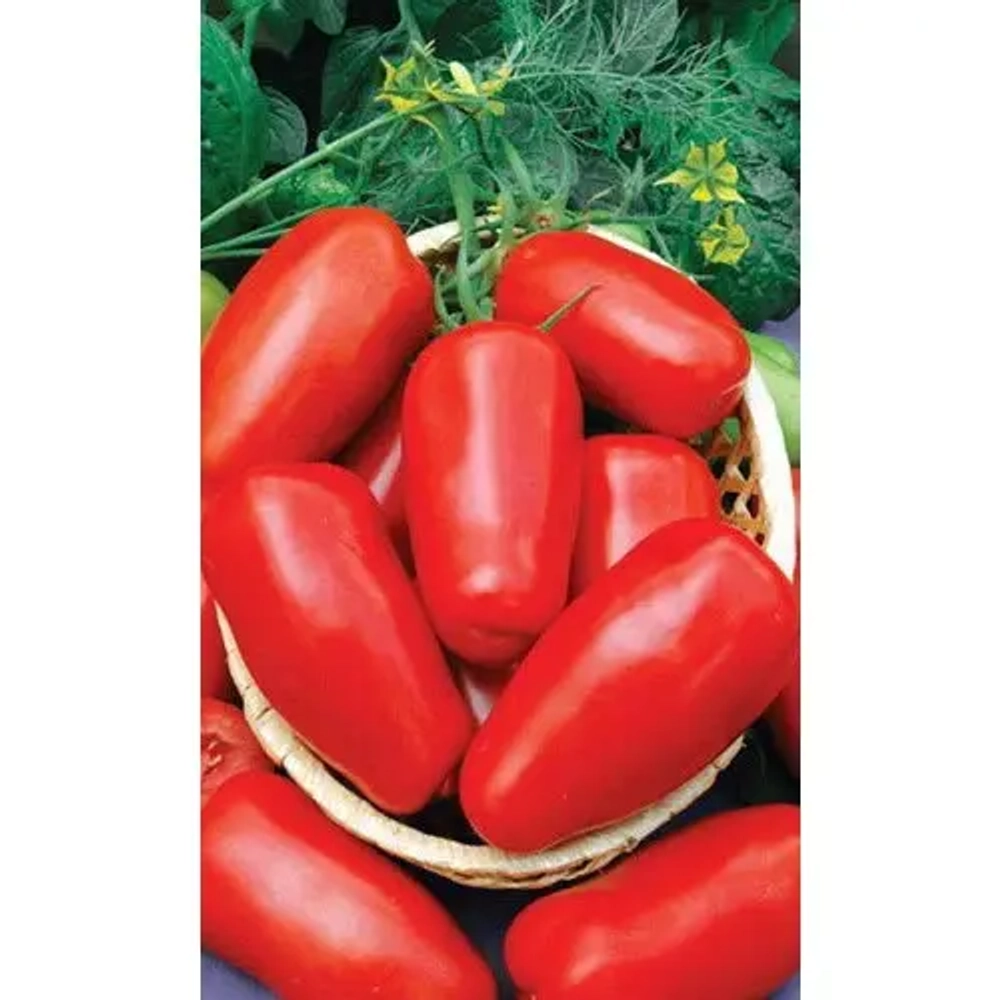 Семена Томат непасынкующийся Засолочный (УД) Е/П