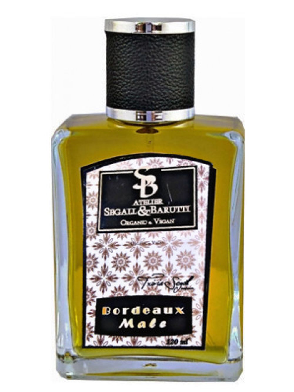 Atelier Segall and Barutti Bordeaux Male