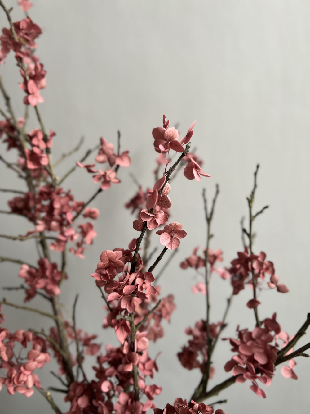 Композиция в вазе Сакура кофейно-розовая