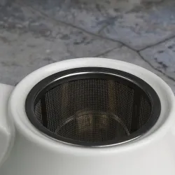 Чайник 450 мл d 10,1 см h11 см с фильтром белый фарфор P.L. Proff Cuisine [1]