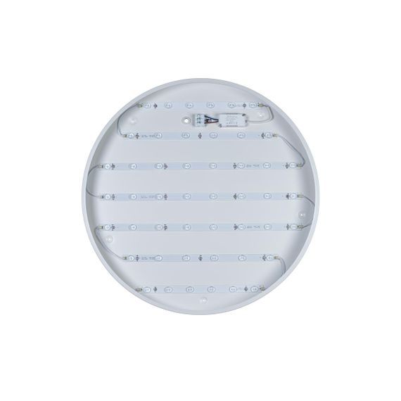 Потолочный светодиодный светильник Loft IT Axel 10002/48 white