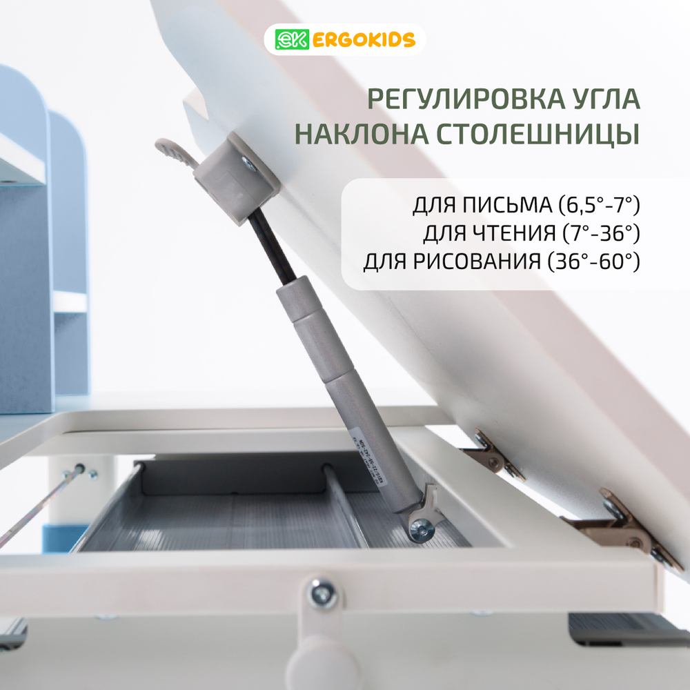 Растущая парта Ergokids Argo-2