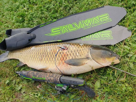 Лопасти карбоновые для ласт Salvimar SPEEDER CARBO medium