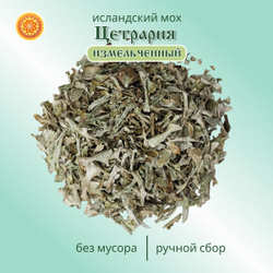 Исландский мох цетрария, 100 г.