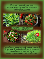 Рукола многолетняя
