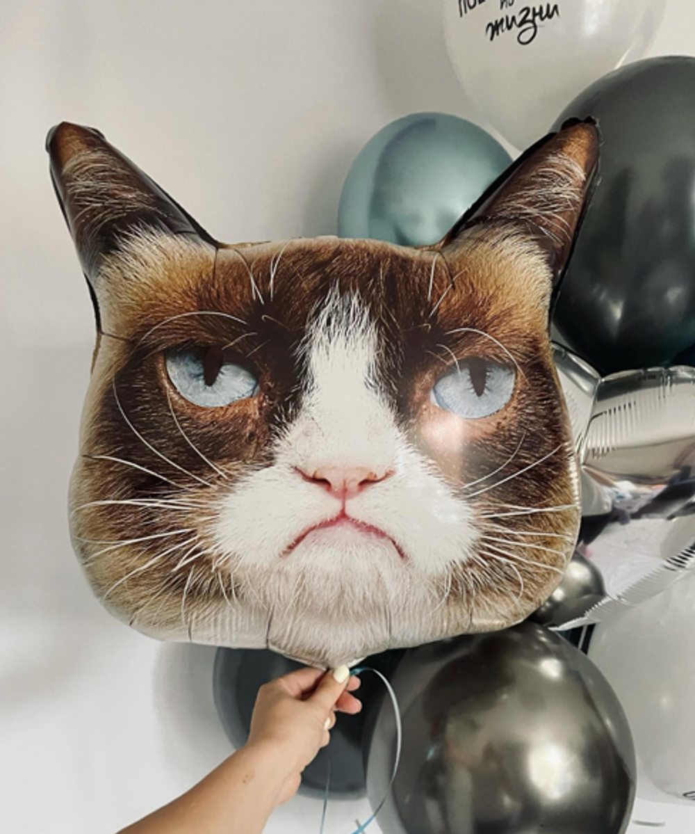 Шар Фигура Унылый кот (Сердитая Кошка)  Изображение4