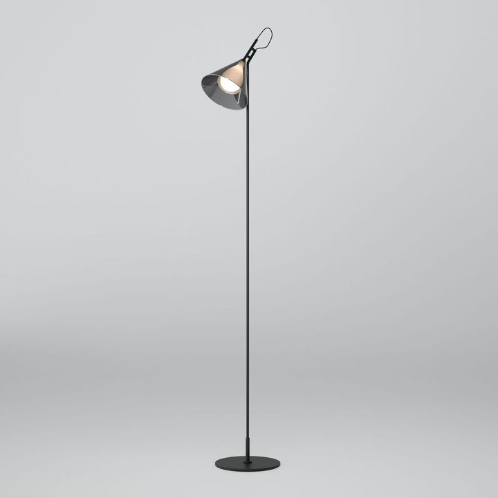 Торшер Eurosvet Enigma 01187/1 черный