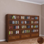 Библиотека 10