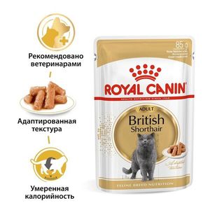 Пауч Royal Canin British Shorthair Adult для взрослых британских короткошерстных кошек, мелкие кусочки в соусе