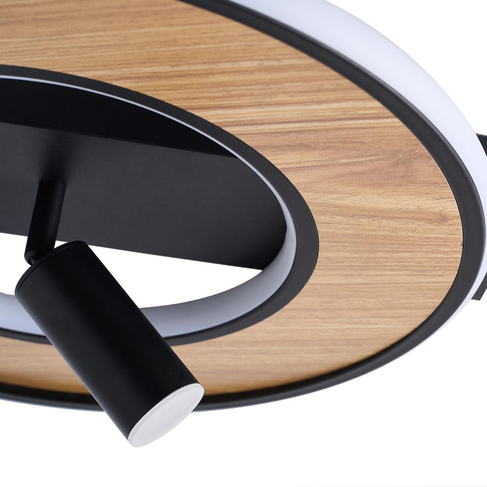 Потолочный светодиодный светильник F-Promo Olika 4438-2C