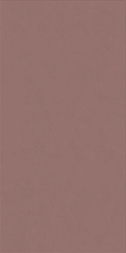 Настенная плитка WIDE&STYLE MINI PAPRIKA RET (PF60008237)