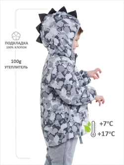 Куртка демисезонная для мальчика осень