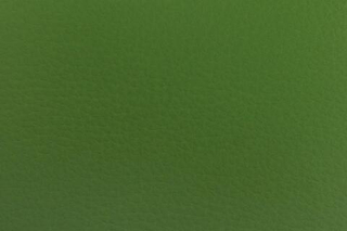 Искусственная кожа Dolero g.green (Долеро грин)
