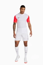 Футболка Nike Dry Tiempo Premier II - белый