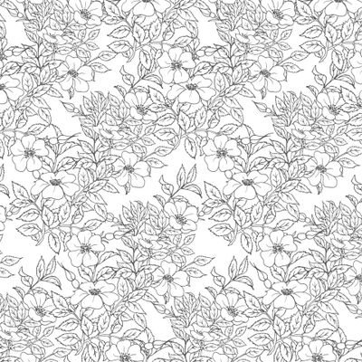 Цветущий шиповник контур