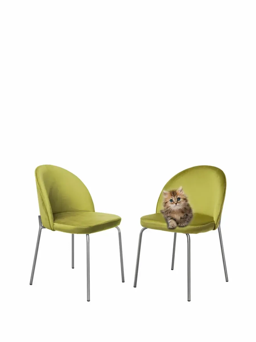 Стул "Мале" 2 шт. Антивандальная ткань, Серебряные ножки