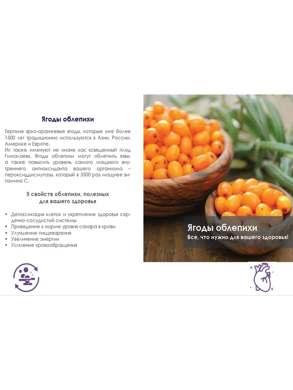 MiMax (Маймакс) омоложение и укрепление организма 20 саше