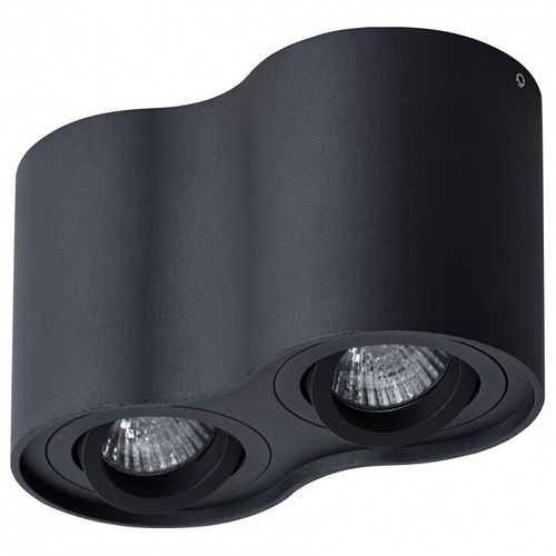 Накладной светильник Arte Lamp A5645PL-2BK