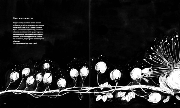 Ночь. Книга о сне и тайнах темноты